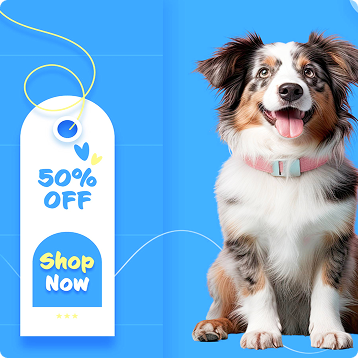 brand_page_banner