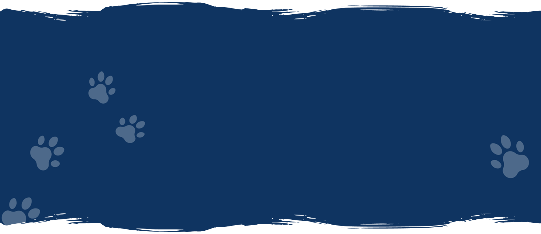 Blog Background