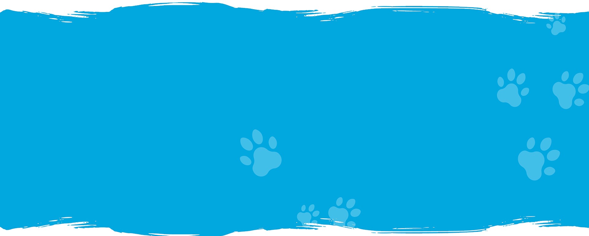FAQ Background Desktop