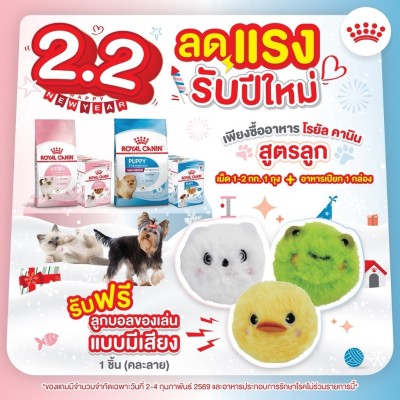(สินค้าฟรี) กล่องสุ่ม ลูกบอลของเล่น Royal canin แบบมีเสียง 1 กล่อง (เมื้อซื้อ เม็ดสูตรลูก 1-2kg + อาหารเปียก)